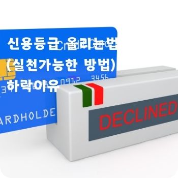 신용등급 올리는법 하락이유