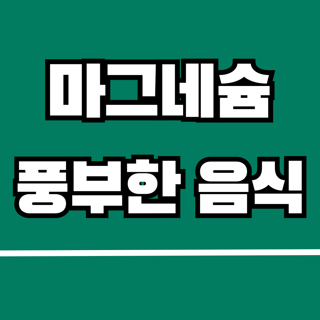 마그네슘이 풍부한 음식 10가지