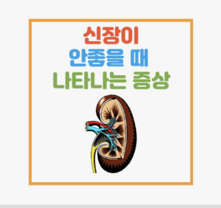 신장이 안좋으면 나타나는 증상