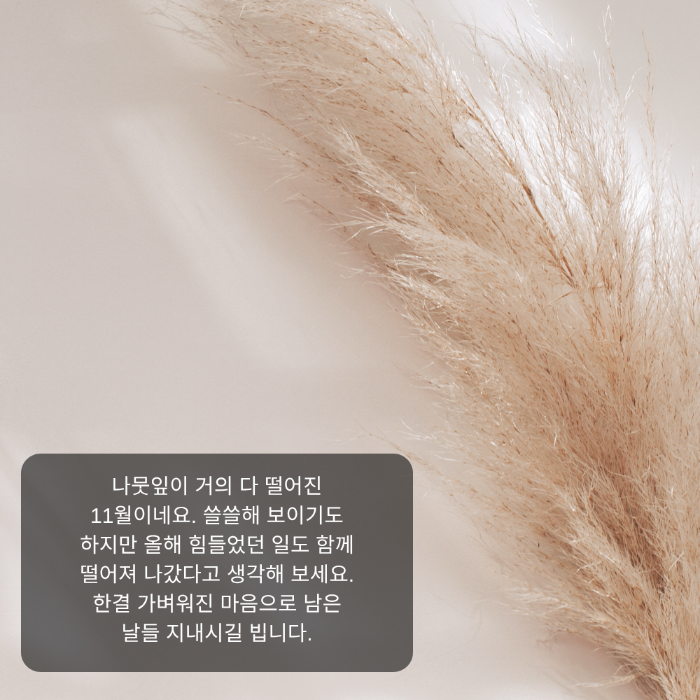 11월 인사말 6 낙엽 지는 11월 위로 인사말 이미지