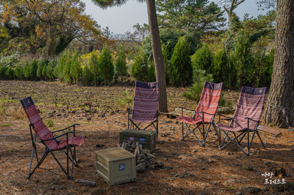 비케이브 캠핑 포토존