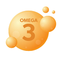오메가 3