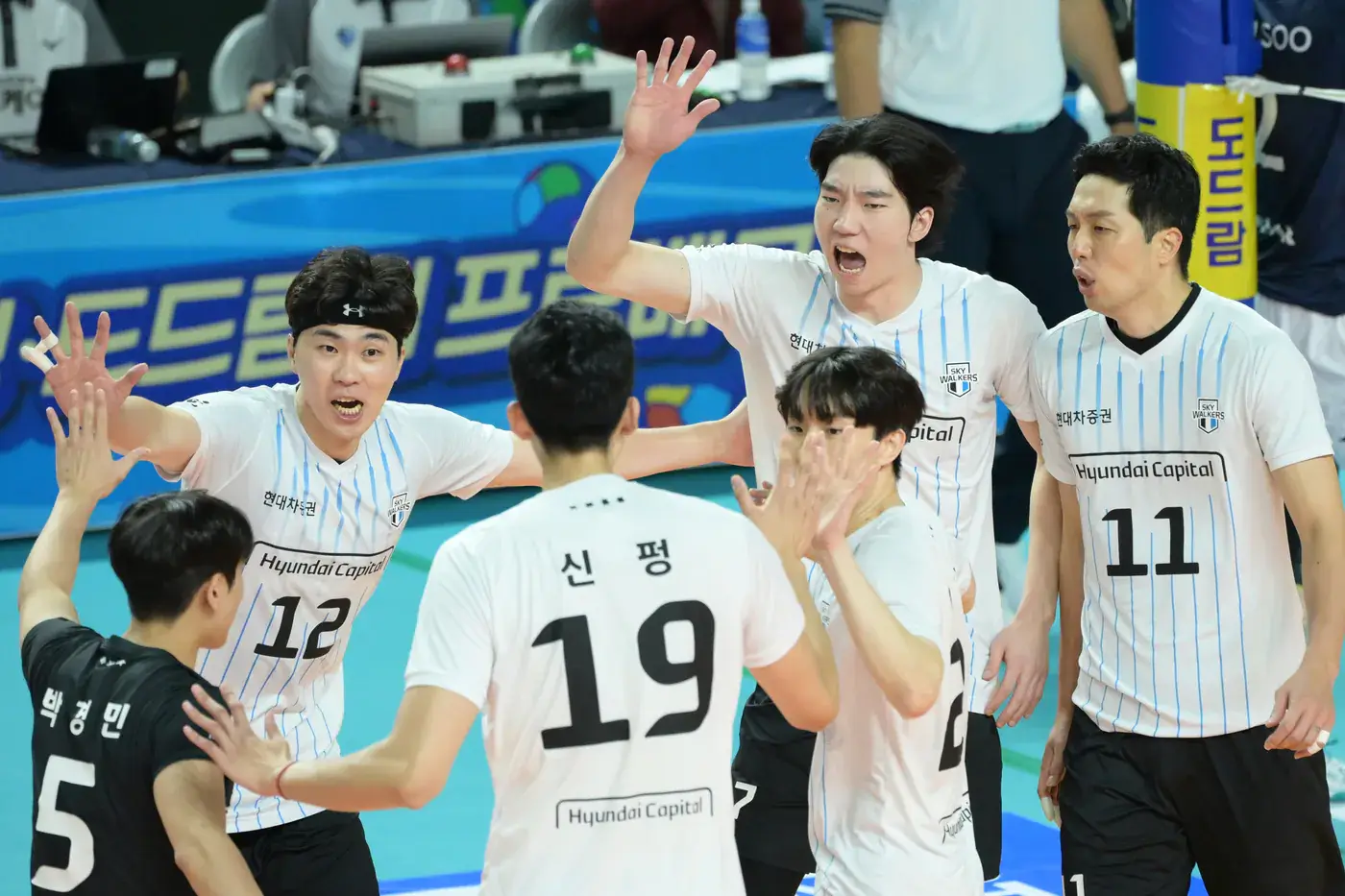 통영 도드람컵 프로배구대회