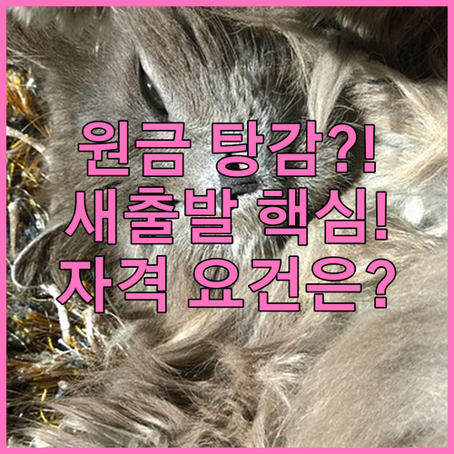 고정이하 여신 확정 필수: 새출발기금..