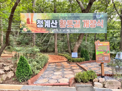 청계산 매봉 맨발걷기 후기, 산길에서 느낀 특별한 시간