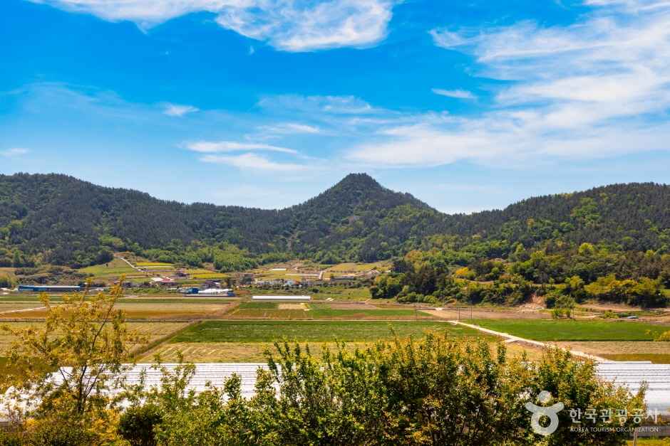 장흥 선학동마을