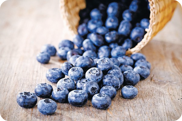 고지혈증에-좋은-음식