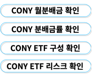 코니 링크