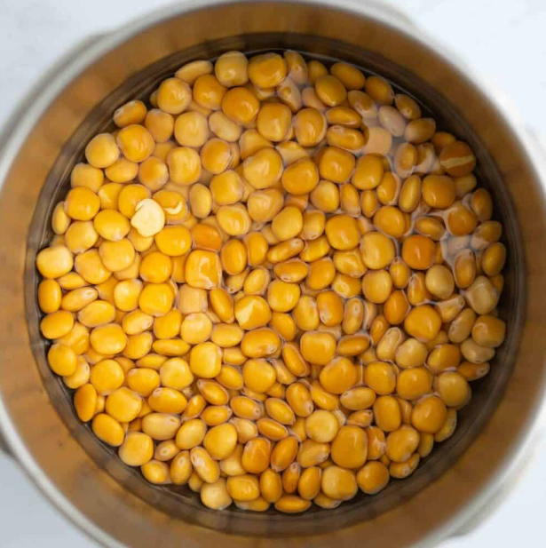 루피니빈차 먹는법