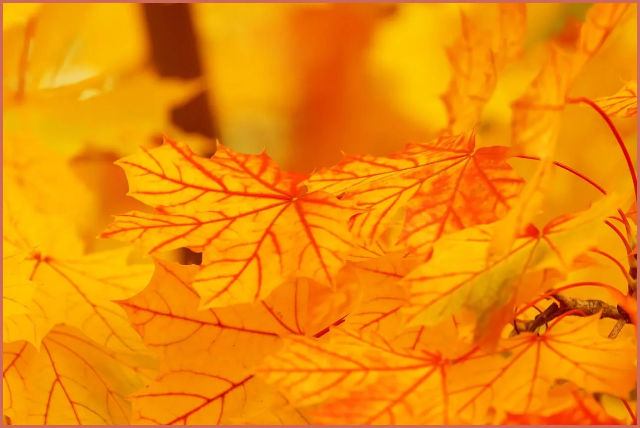 정기예금 금리 가장 높은곳