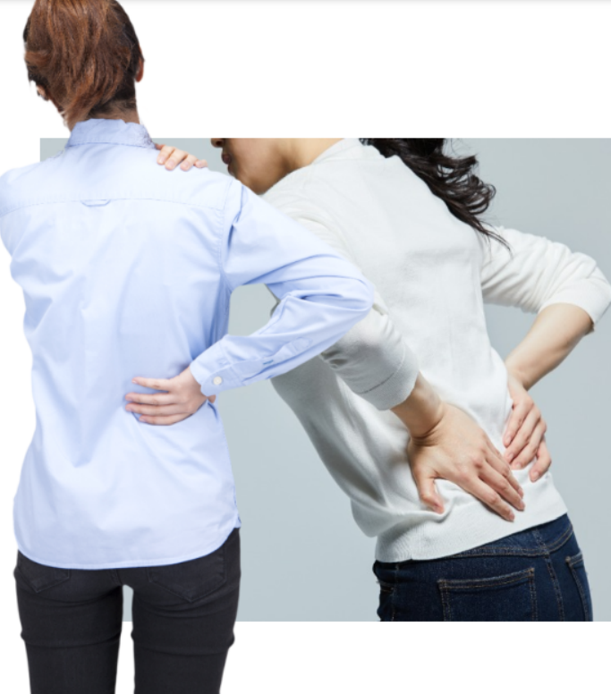 목디스크 허리디스크