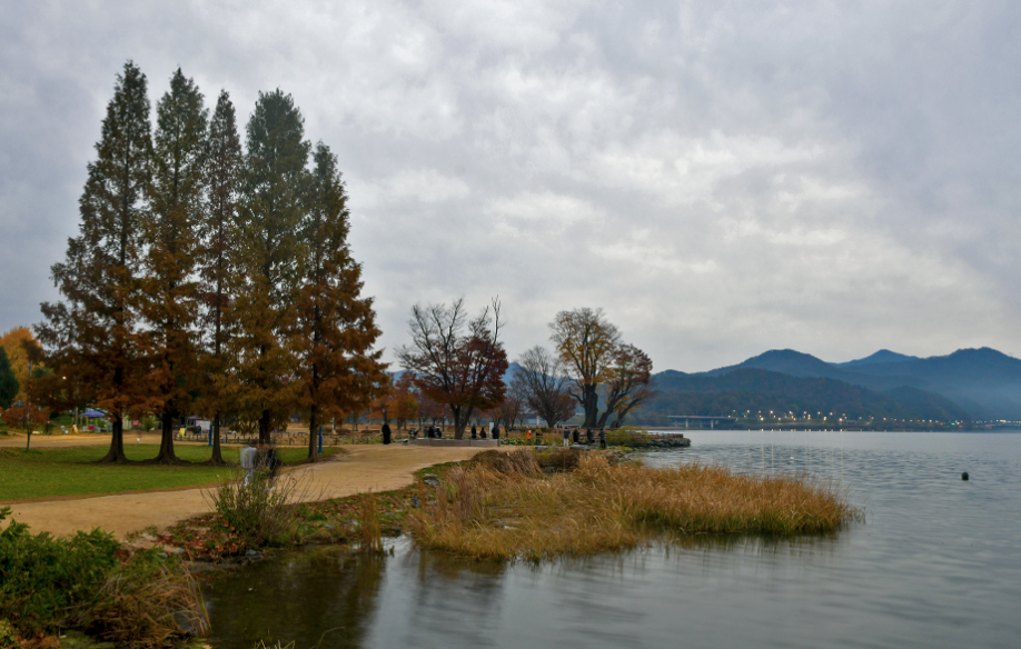 두물머리 이미지