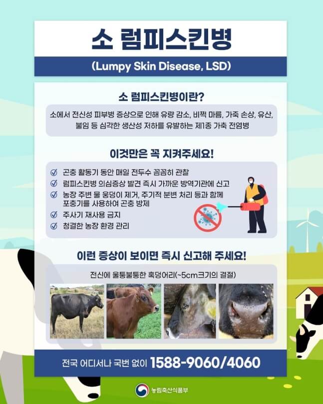 소 럼피스킨병