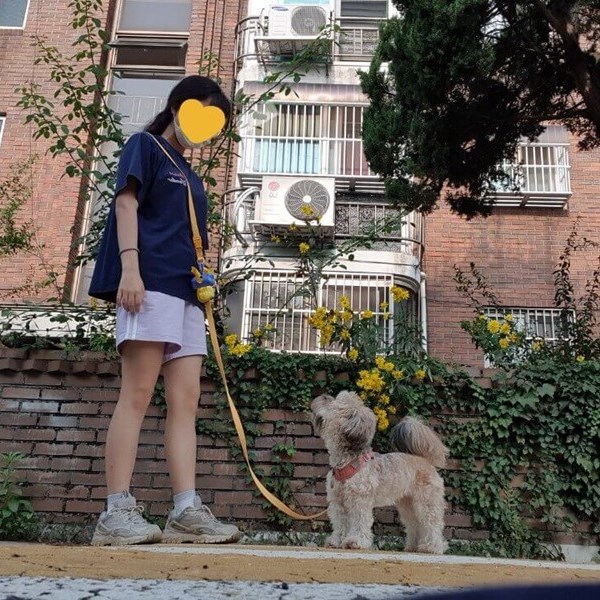 크로스로 멘 리드줄1