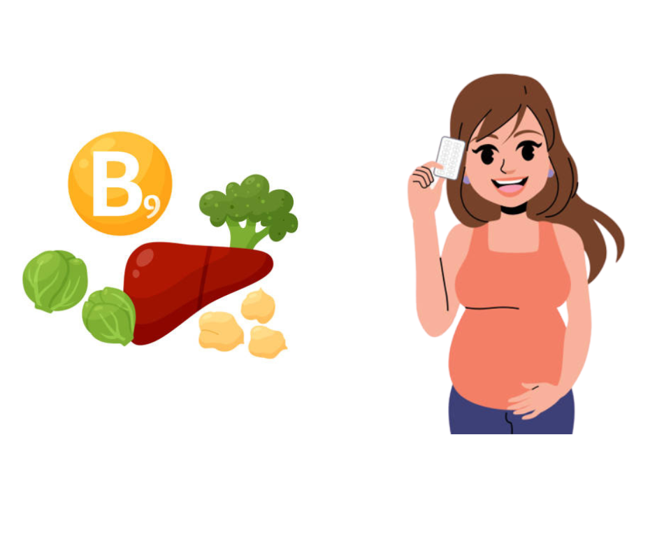 엽산 임산부