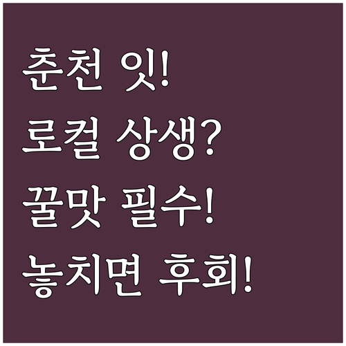 미식과 로컬 상생을 결합한 춘천 축제..