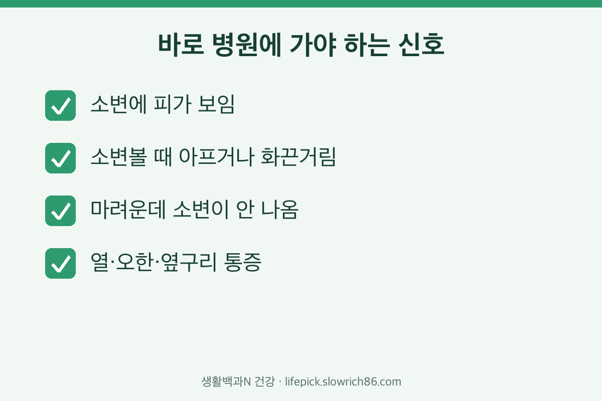 빈뇨와 함께 오는 위험 신호 혈뇨 배뇨통 요폐