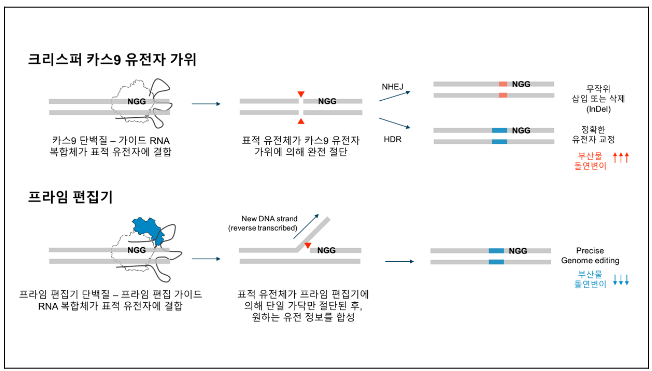 세계최고 수준의 차세대 유전자 가위 설계기술 개발