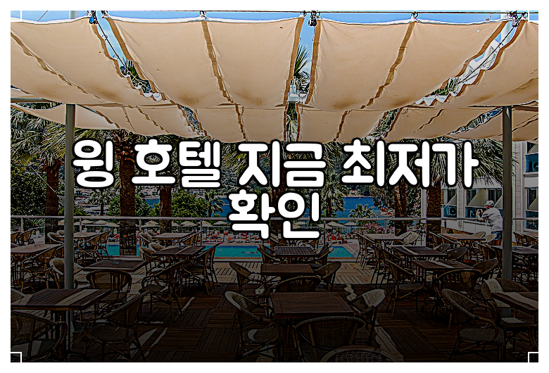 윙 호텔 지금 최저가 확인