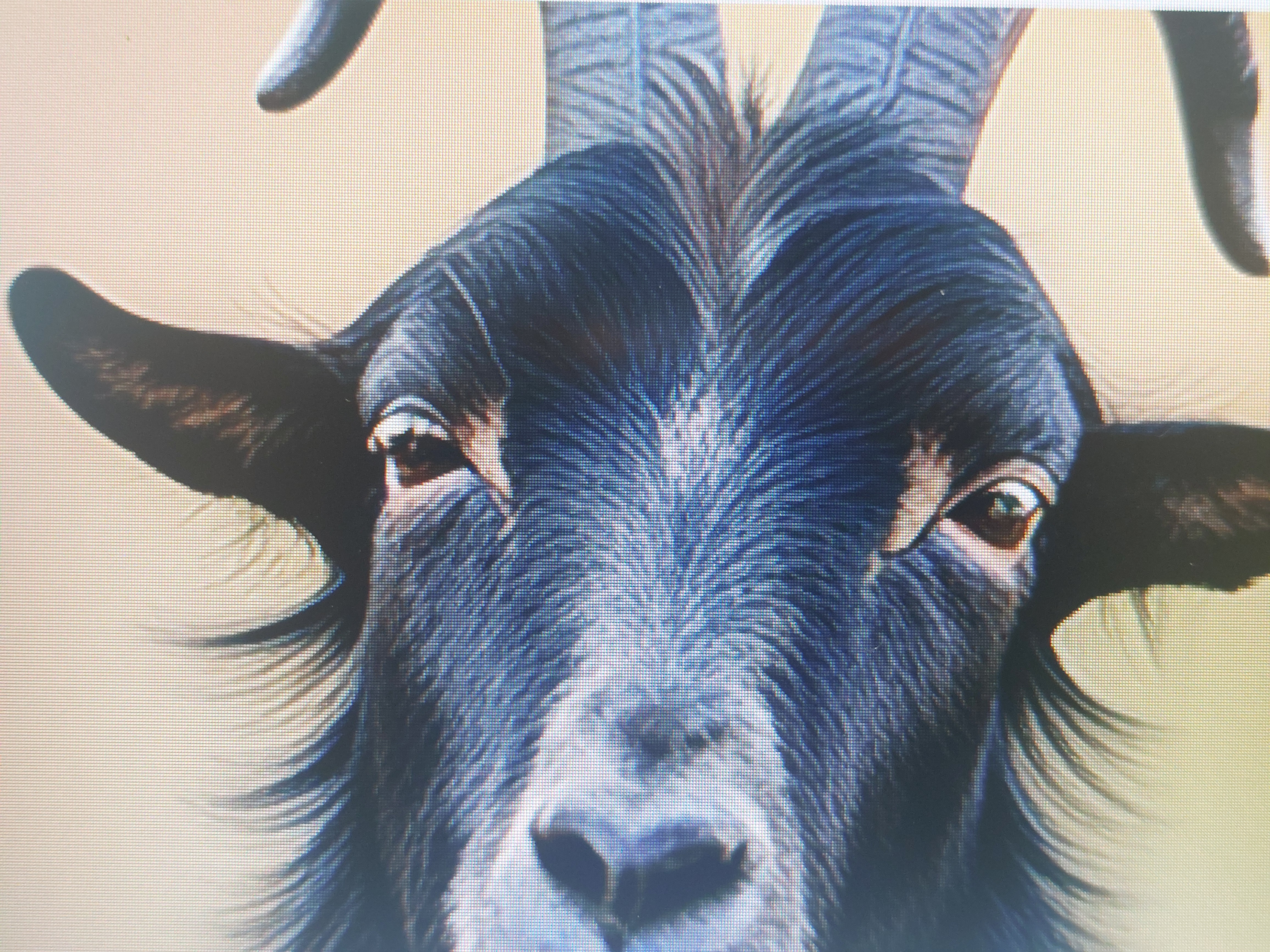 이경제 흑염소 진액과 김오곤 흑염소 진액 비교