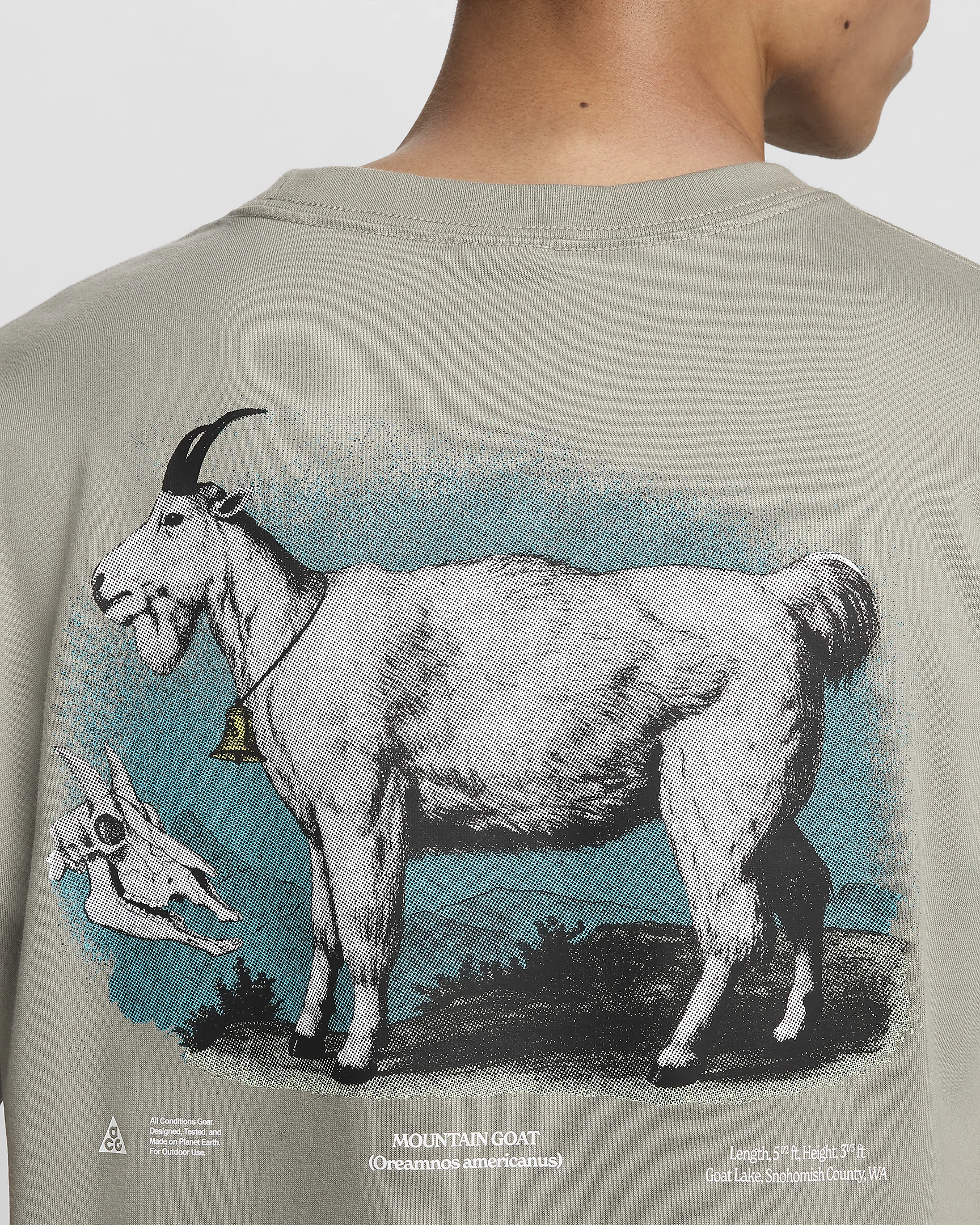 나이키 남자 신상 반팔티 사이즈 및 가격