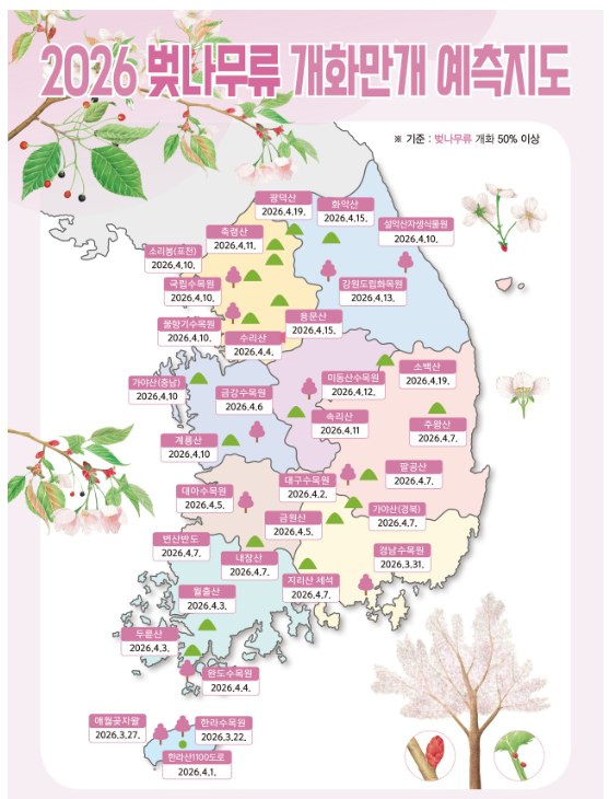 국민 벚꽃 개화 지도 만들기 프로젝트 참여하러 가기