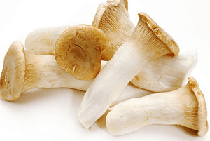 새송이버섯 효능12