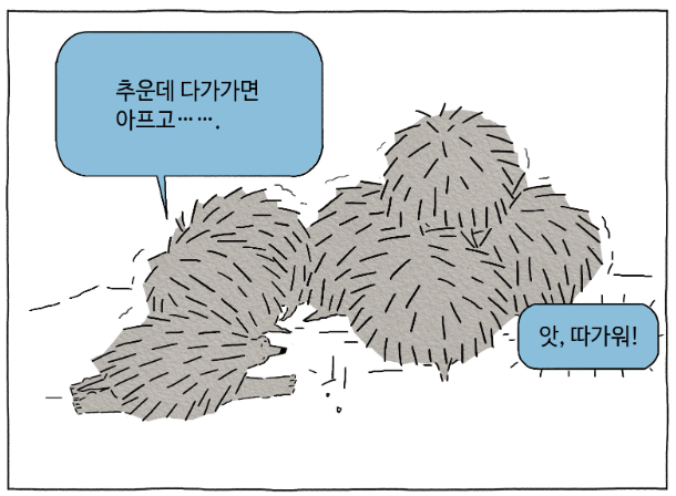 고슴도치들이-추운데-다가가면아프고-안다가가면-얼어죽을것같은-모습의-이미지