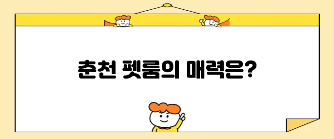 강원도 여행 애견과 함께하는 춘천의 헤이 춘천 펫룸에서 특별한 경험을 즐겨보세요.