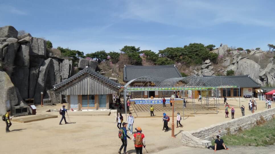 100대 명산 등산하기 서른세번째 대구 비슬산 봄철 참꽃군락지 여행객이 반드시 찾는 최고의 절정 풍경