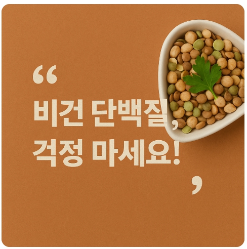 비건 단백질 보충법 : 식물성 고단백 식재료와 식단 구성 노하우