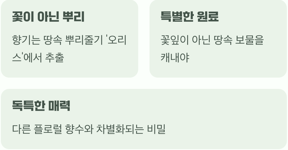 향기는 꽃이 아닌 땅속에 있어요