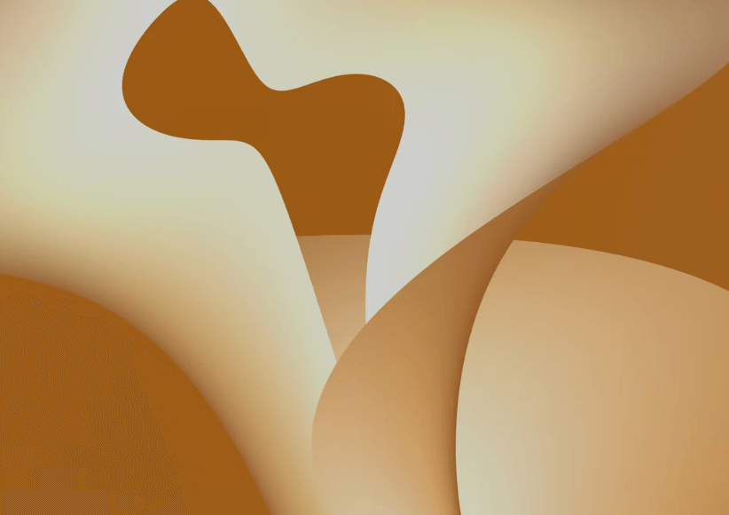 실손보험 청구 전산화