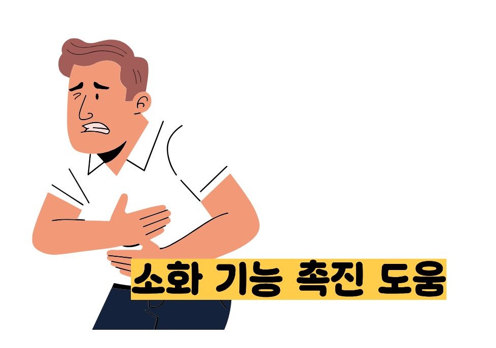 도라지청의 효능
