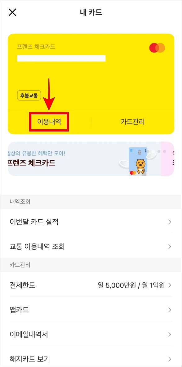 내 카드에 조회되는 카드의 '이용내역'을 선택