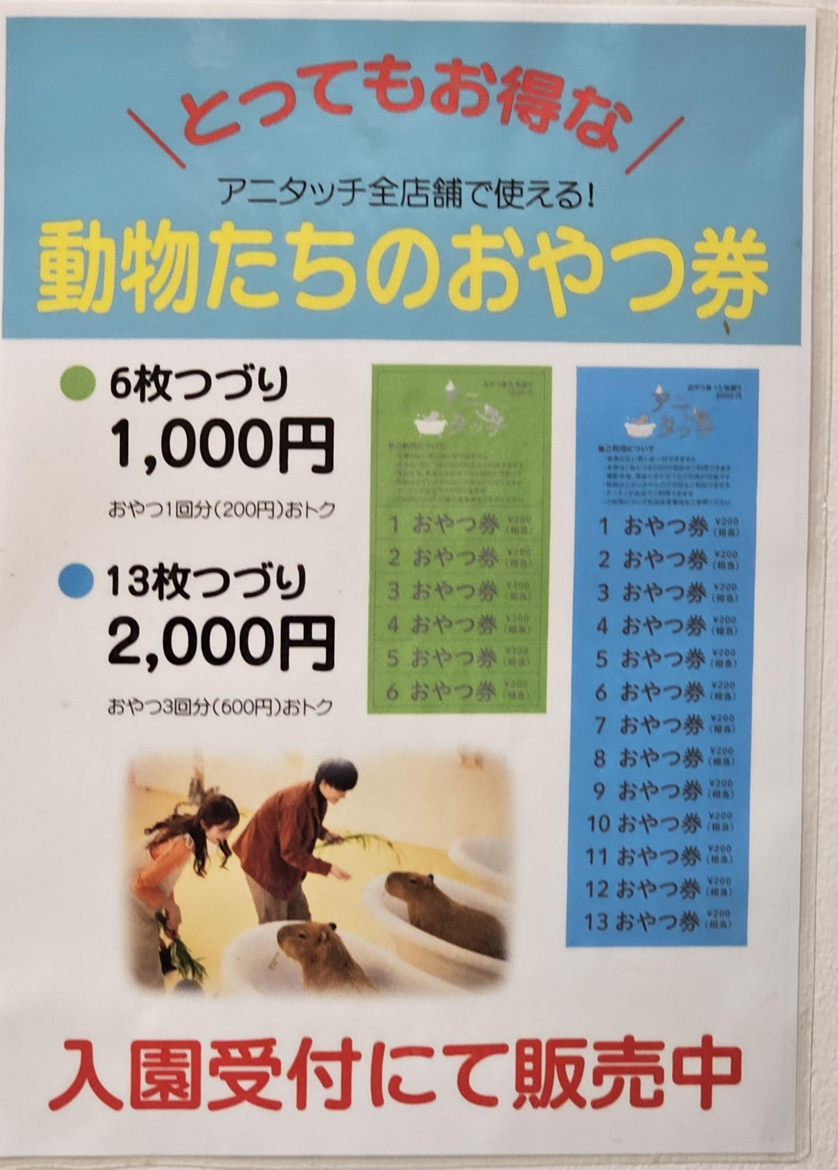 アニタッチ アクアシティお台場_14