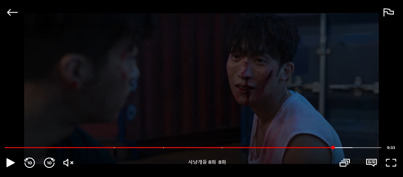 홍우진 사냥개들