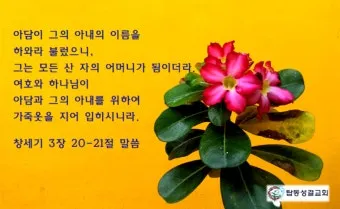 창세기 3장 원죄 구원 묵상_22