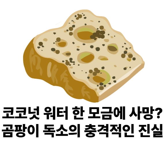 코코넛 워터 한 모금에 사망? 곰팡이 독소의 충격적인 진실