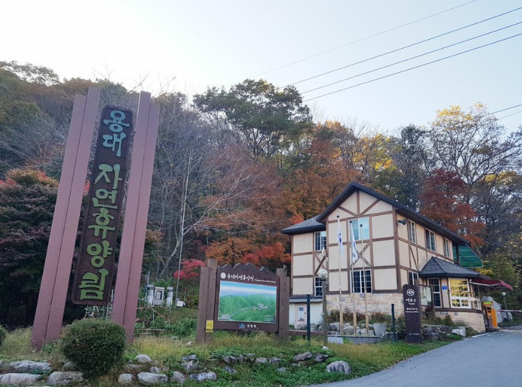 용대자연휴양림 입구사진