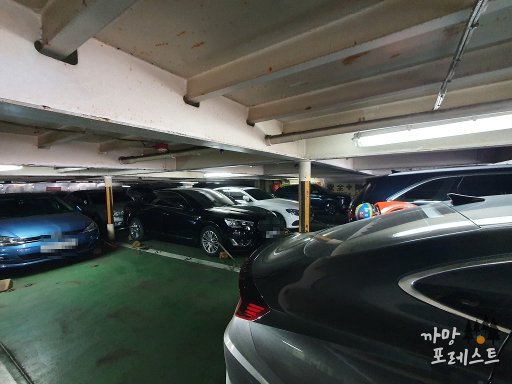 차량 주차된 모습
