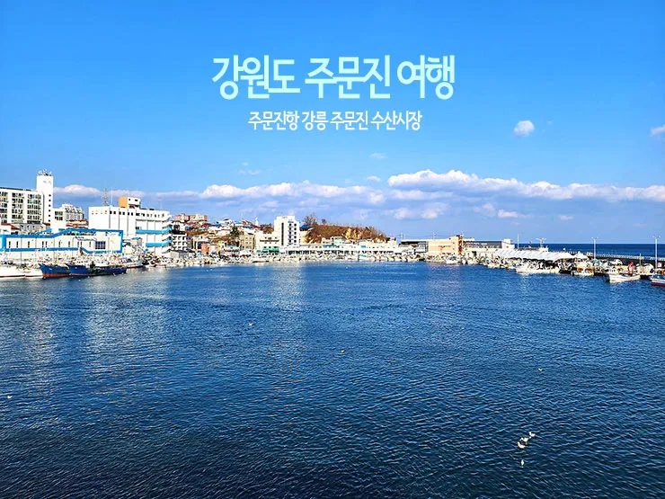 주문진 해수욕장 여행코스 수산시장과 맛집 추천_6