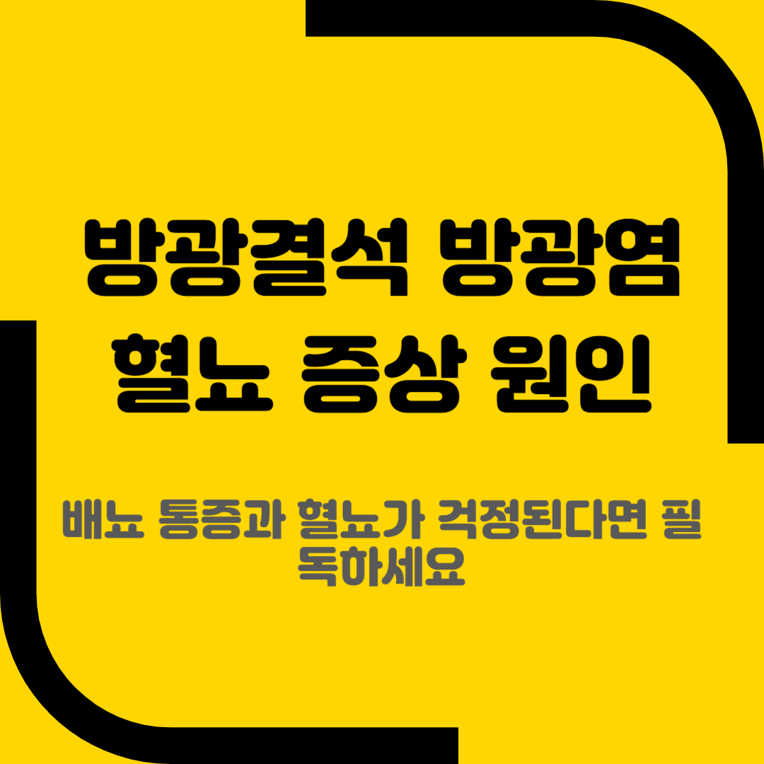 방광결석 방광염 혈뇨 증상 원인