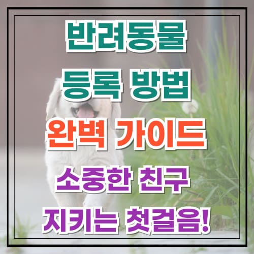 반려동물 등록 방법 완벽 가이드 소중한 친구를 지키는 첫걸음