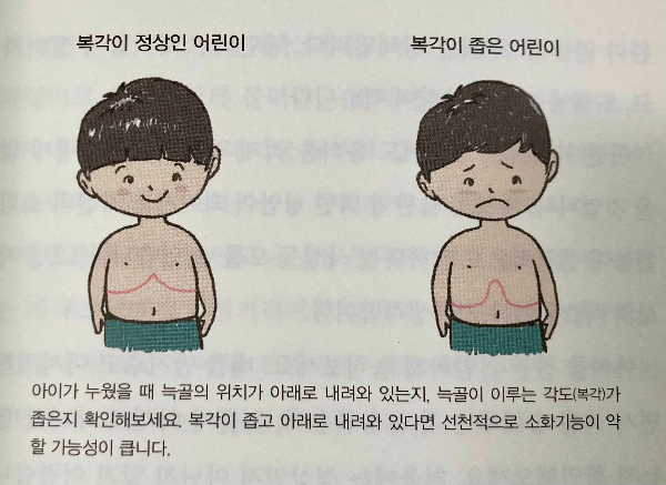 어린이 늑골의 위치 이미지