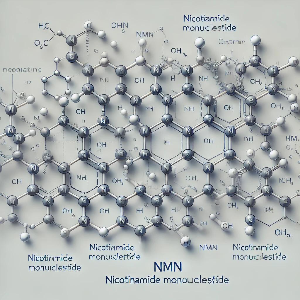 NMN 효능
