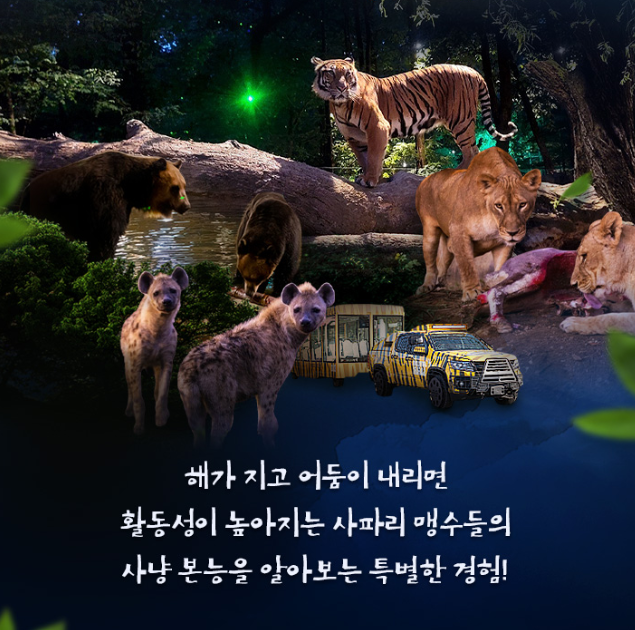에버랜드 나이트사파리 후기 예약방법∙운영기간∙예매가격∙꿀팁 총정리