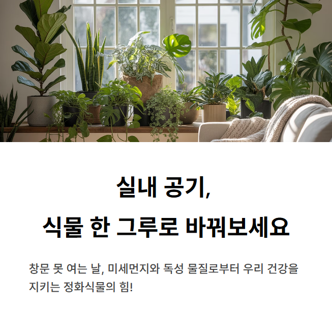 공기-정화식물은-실내-공기를-깨끗하게-하는데-도움을-줄-수-있다.