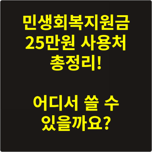 민생회복지원금 25만원 사용처 총정리! 어디서 쓸 수 있을까요