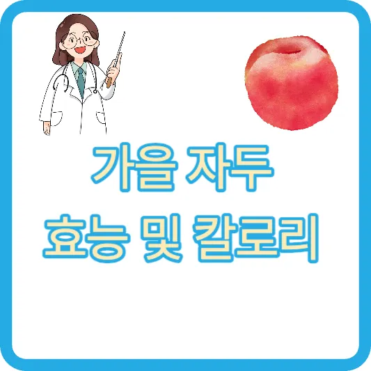 자두 효능 칼로리 보관방법 부작용